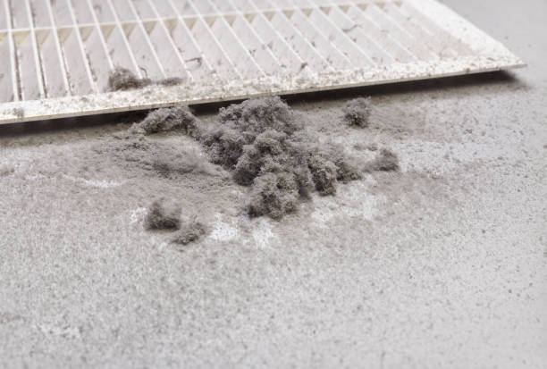 Best Air Duct Cleaning Company Near Me  in Halifax, VA