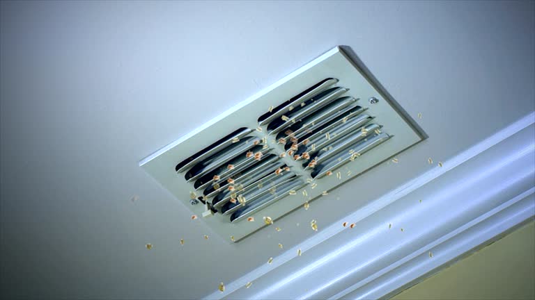 Best Commercial Air Duct Cleaning  in Halifax, VA