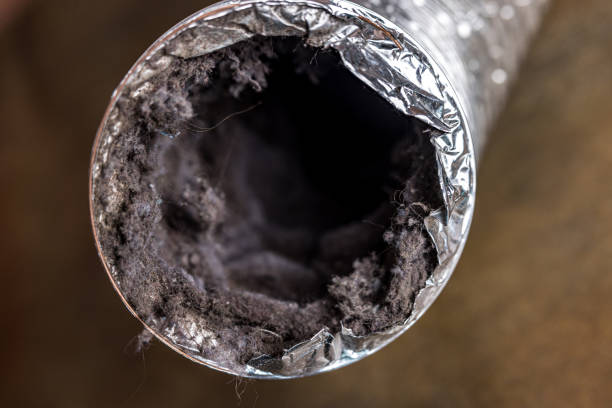 Best Affordable Air Duct Cleaning  in Halifax, VA