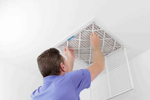 Best Air Duct Mold Removal  in Halifax, VA